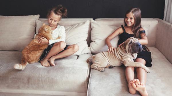 La industria turística se adapta a la demanda de los pasajeros (Shutterstock)