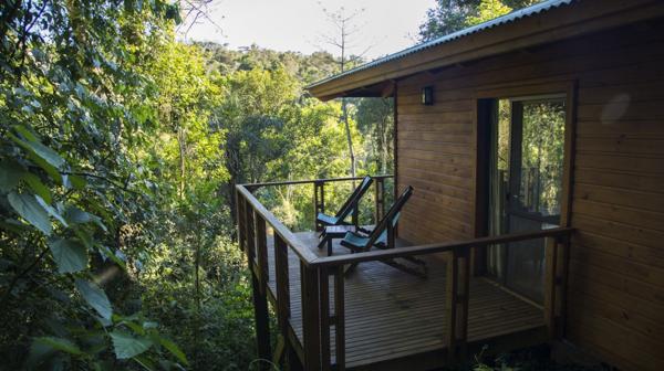 Don Moconá Virgin Lodge es un paraíso en el medio de la selva