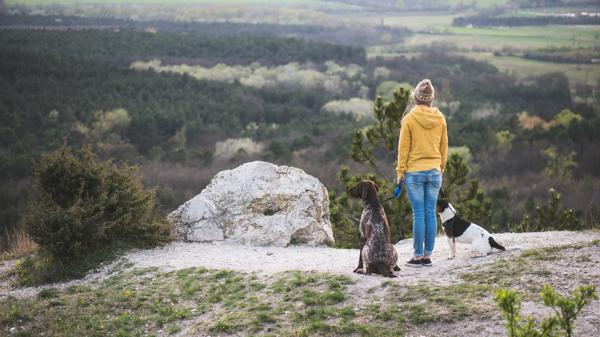 El uso de la correa es fundamental en escenarios desconocidos (iStock)