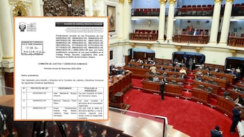 Dictamen sobre delito de terrorismo