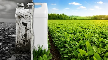 “Juego Limpio”: Argentina es uno de los líderes en “el Mundial” de la gestión ambiental en el agro