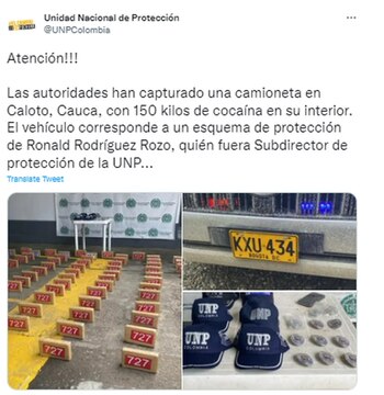 Esto fue lo que encontraron