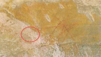 Las pinturas rupestres fueron borradas