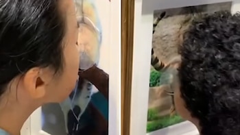 Atoa Aquarium de Kobe, en