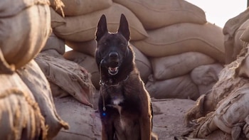 Leuk "el suertudo" sirvió a