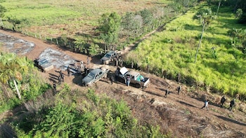 Guatemala: El Conap denuncia amenazas tras desmantelar infraestructuras ilegales en la Reserva de la Biosfera Maya