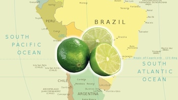 Esta nación le exportó limones