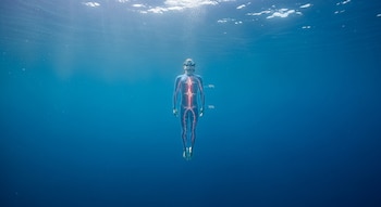 El buceo en apnea duplica