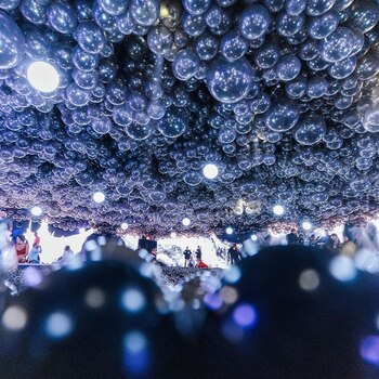 Su buque insignia es la