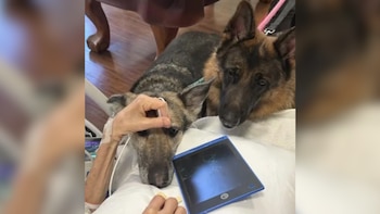 La despedida entre un paciente