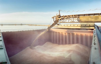 No será sencillo insertarse en