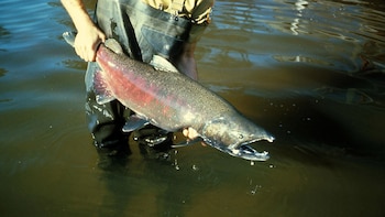 Investigadores del Conicet y centros