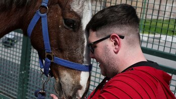 Caballos de terapia: una esperanza