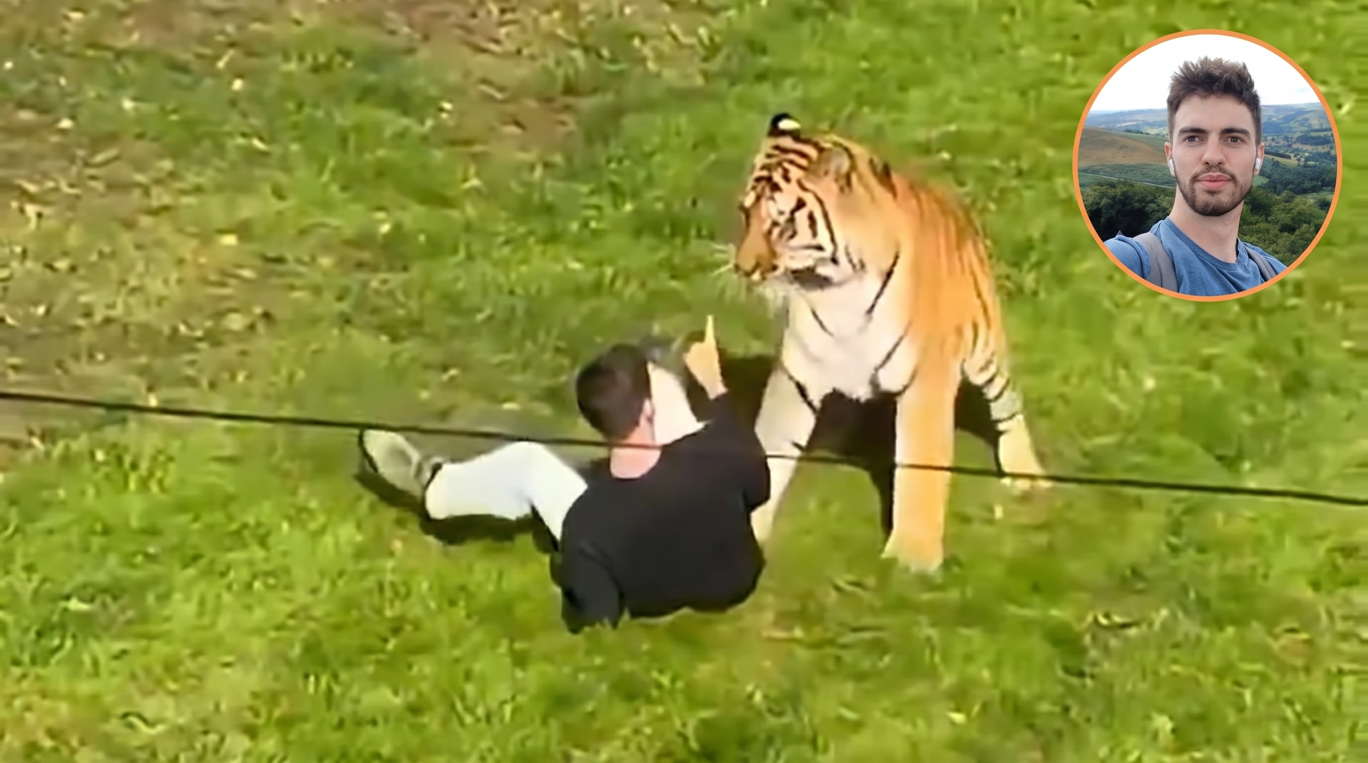 Joven muere tras ser atacado por un tigre en zoológico británico