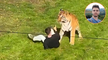 Confirmaron la identidad del joven que murió tras ser atacado por un tigre en un zoológico británico