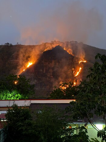 Las autoridades intentan controlar la