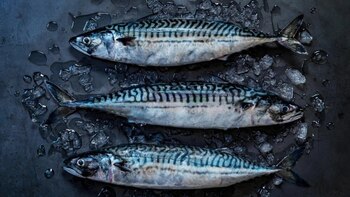 La caballa es especialmente rico