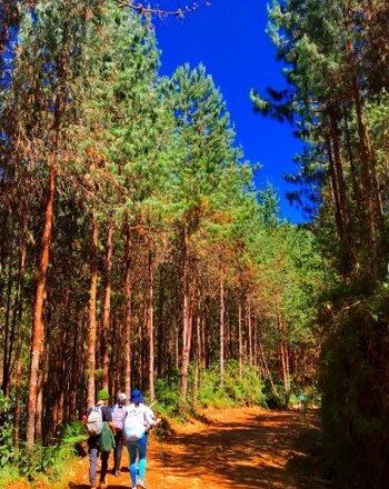 La caminata abarca una distancia aproximada de 18 kilómetros y una duración estimada de siete horas (aventureros_pal_antioquia/IG)