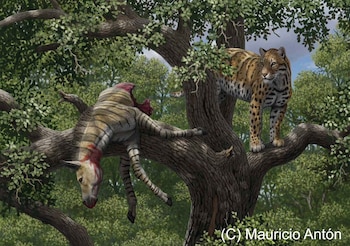 Imagen 23AEYUMAWJHRBOZRV67XEYCVWE