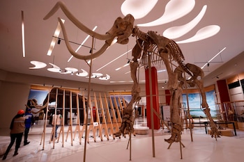 Museo del Mamut (Foto: EFE)