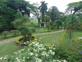 La conversión de la