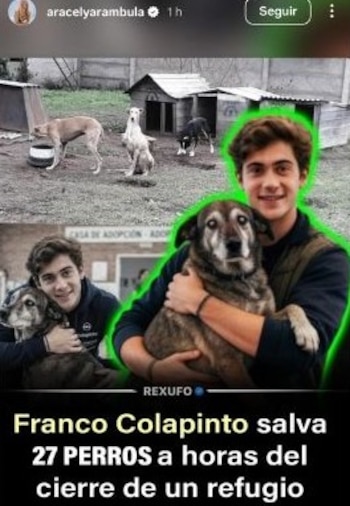 El rescate de varios perros llevó a la actriz a pronunciarse en redes sociales.