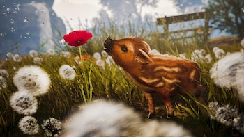 Adorable Adventures, de Wild Sheep Studio