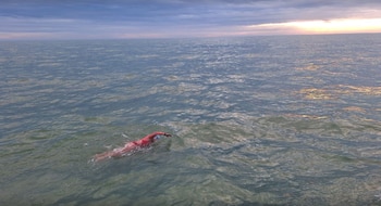 Una nadadora cruzando el Canal