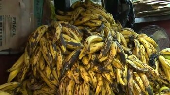 Plátano del Mercado de Frutas