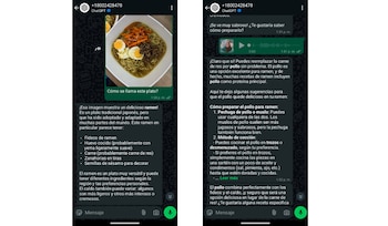 Los usuarios pueden realizarle consultas