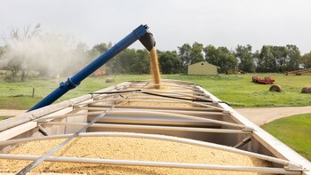 El desaire de China a