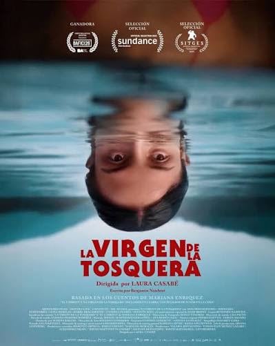 El guionista Benjamín Naishtat combinó dos relatos del libro Los peligros de fumar en la cama, escrito por Mariana Enríquez, para crear el argumento del film