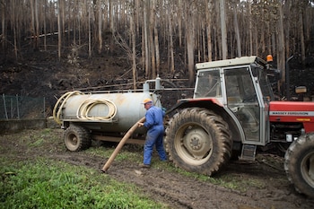 Un hombre trabaja en una zona de bosque quemado tras el incendio, a 16 de octubre de 2023, en Trabada, Lugo. (Carlos Castro / Europa Press)
