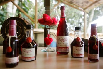 Vista de las distintas presentaciones