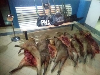 Los cazadores serán indagados por