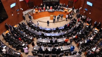 Reforma Electoral: el Senado calculó