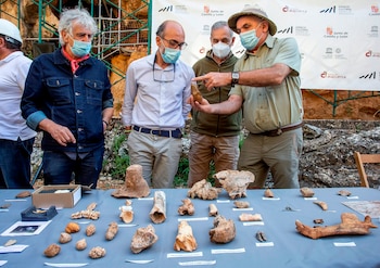 El consejero de Cultura y