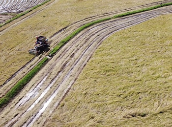 El uso intensivo de maquinaria