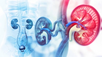 La poderosa bebida natural para