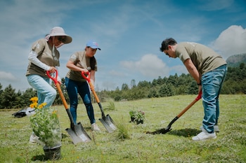 El jardín forma parte de una estrategia de conservación que pretende pasar de jornadas aisladas de limpieza o siembra a proyectos con mantenimiento posterior.
