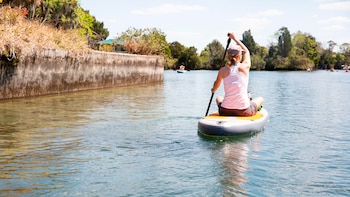 5 manantiales de Florida que