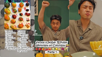 Japones probó 19 frutas colombianas en una sola comida, así le fue: “es muy interesante el sabor”