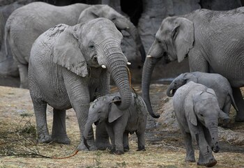 El estudio destaca tres puntos