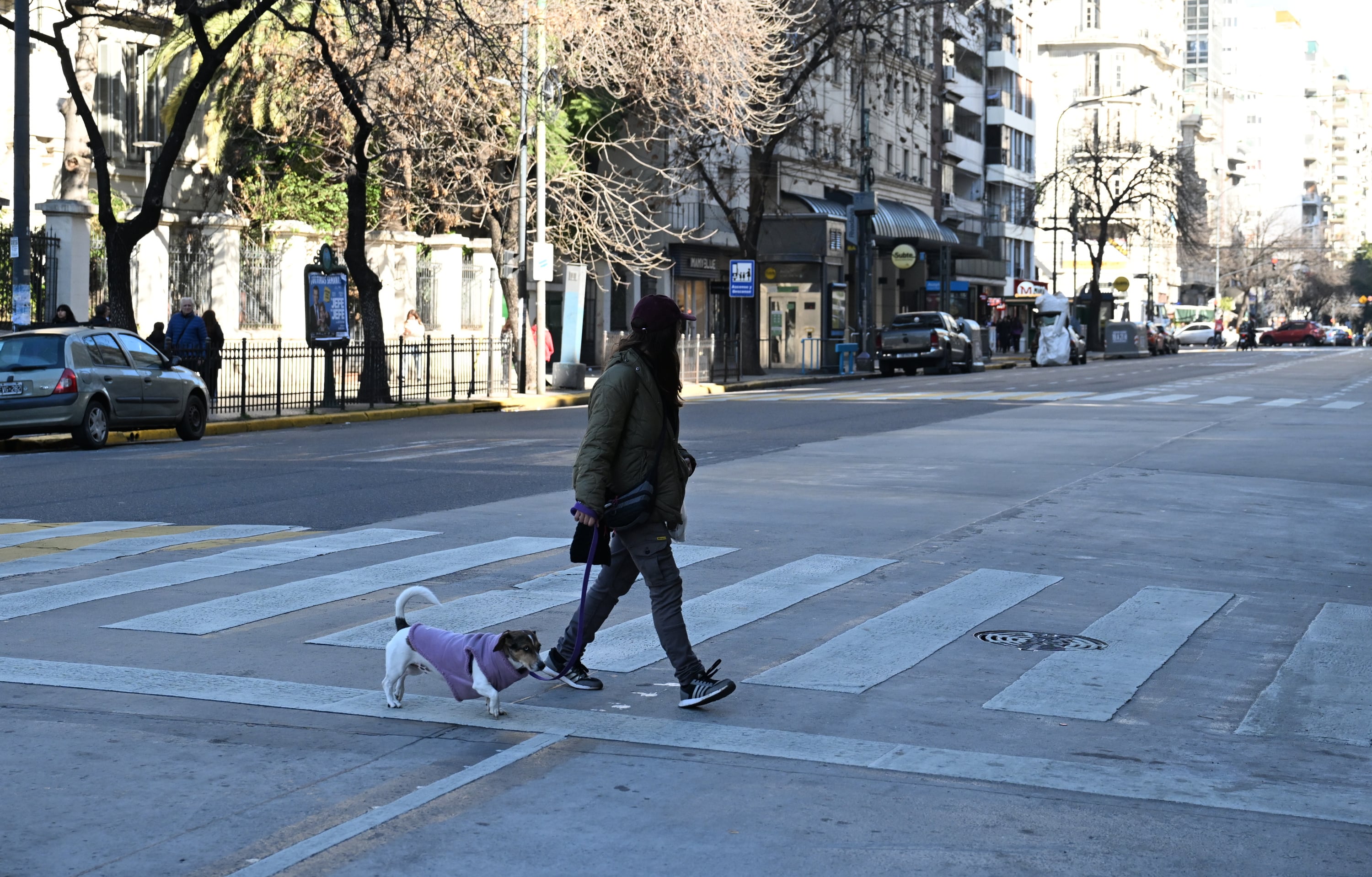 Una mujer cruza la avenida Rivadavia junto a su perro (Maximiliano Luna)