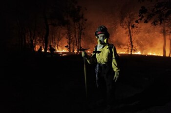 Bosque-La-Primavera-Jalisco-Mexico-incendio-forestal