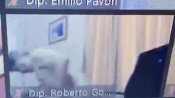 Ricardo González dijo que se