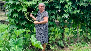 Qué hizo una productora panameña para ser reconocida por la FAO entre las 100 heroínas