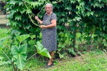 Una mujer de cabello canoso y vestido estampado sostiene unas ramas frente a un tupido follaje verde