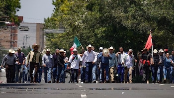 Campesinos amenazan con paro nacional si el gobierno de Sheinbaum no atiende estas demandas
