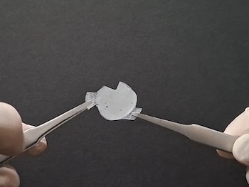 Las nanoestructuras 3D-PVDF autoportantes conservaron su flexibilidad mecánica tras las pruebas al aire libre (tratamiento UV), sin mostrar signos de fragilización ni agrietamiento / IMN-CSIC